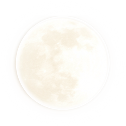 Full Moon Illustration